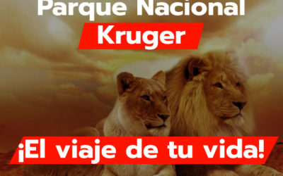 Parque Nacional Kruger Descubre la Maravilla de la Vida Salvaje