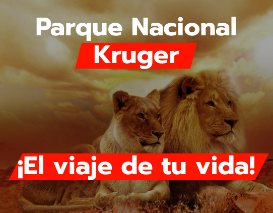 Parque Nacional Kruger Descubre la Maravilla de la Vida Salvaje